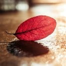 銮遐印花厂13375797050