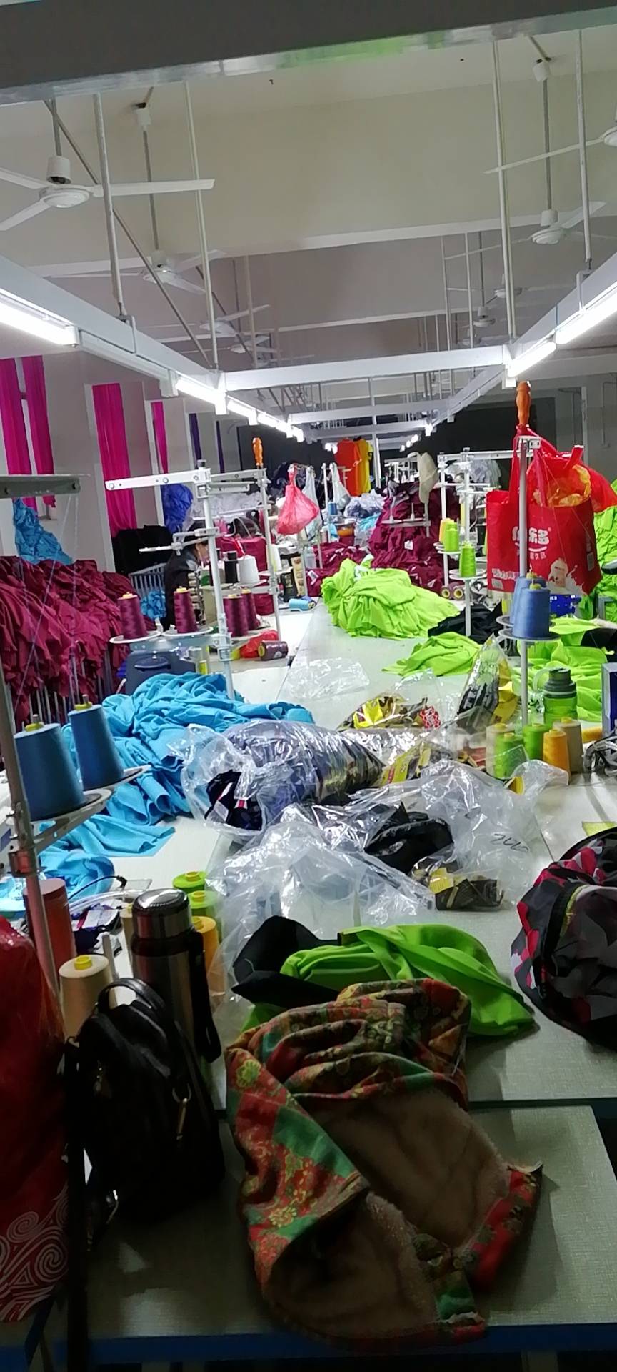 彤彩薇工厂图片2