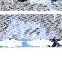 依家