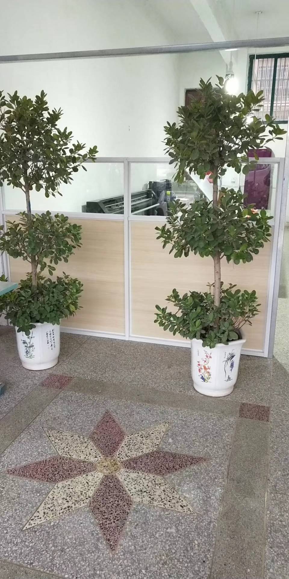 天长市佳友服装厂工厂图片2