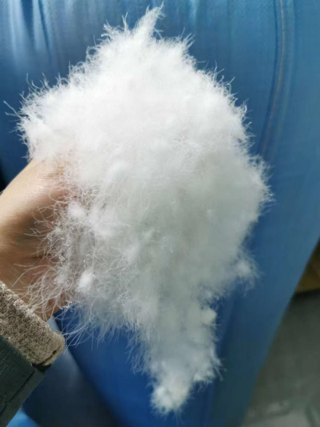 广州中天羽绒制品有限公司