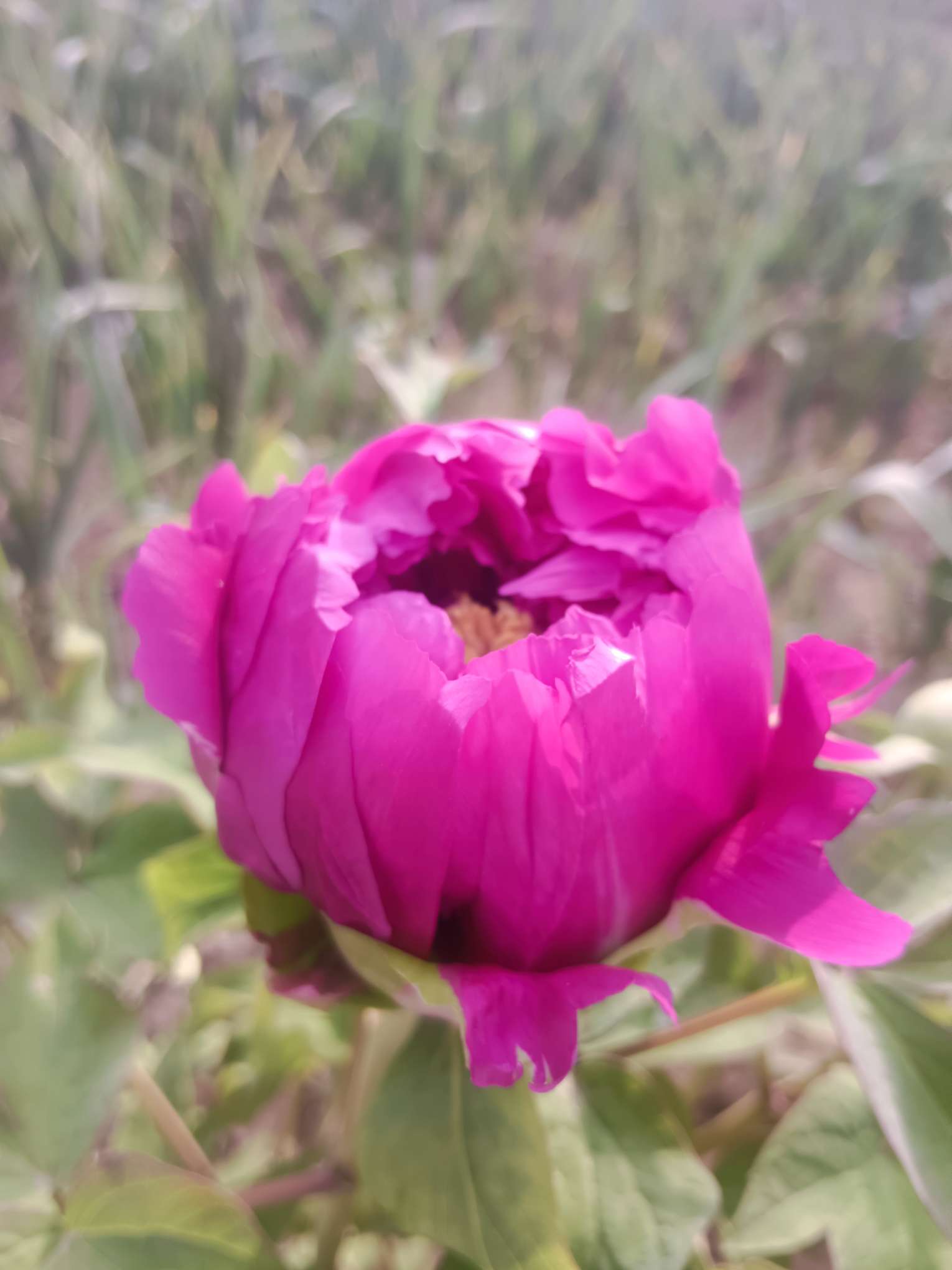 牡丹区华宇制衣工厂图片2